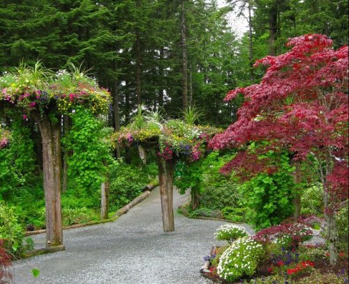 Деревья, растущие вверх тормашками в ботаническом саду Глэйшер Гарденс на Аляске