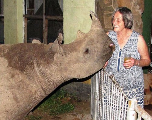 Осиротевшего детеныша носорога растит и воспитывает семья из Зимбабве
