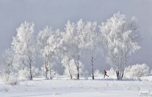 Лучшие работы конкурса Лучшие фотографии России 2012