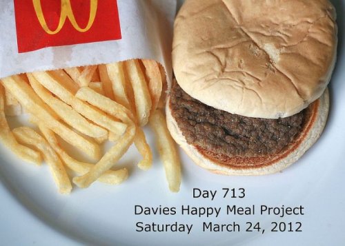 979-дневный проект Happy Meal художницы Салли Дайвиз (21 фото)