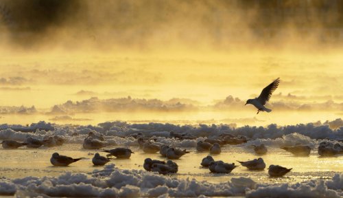 Коллекция лучших фотографий природы 2012-го года (38 шт)