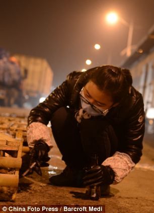Спасение тысячи кошек в Китае
