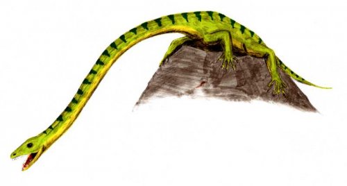 Топ-10: Самые нелепо выглядящие динозавры