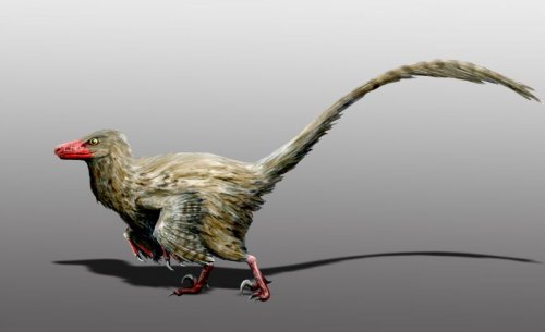 Топ-10: Самые нелепо выглядящие динозавры