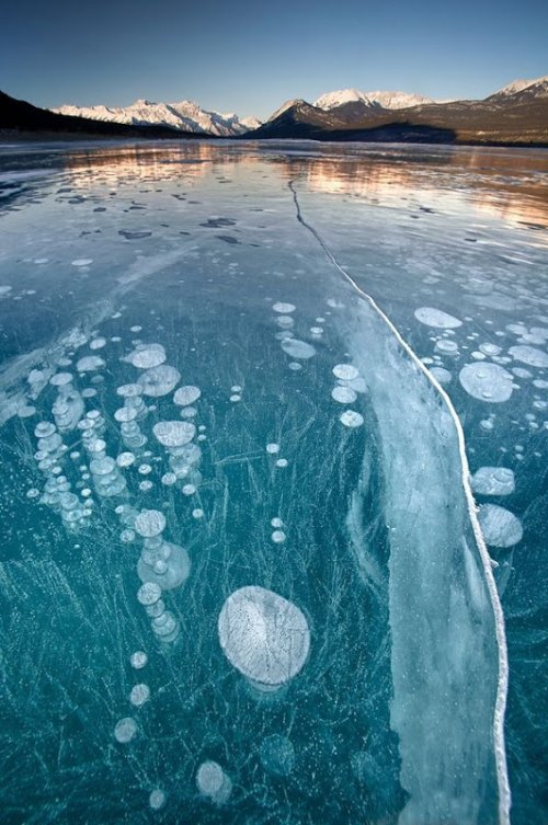 Замороженные пузырьки в озере Авраама