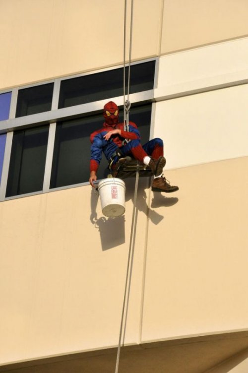 Супергерои моют окна детской больницы в Мемфисе