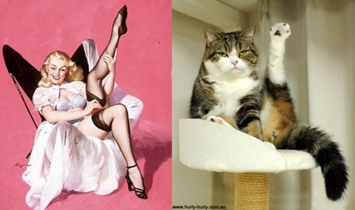 Кошки в образе пинап-девушек (37 фото)