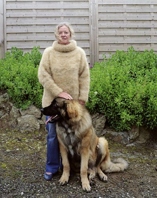 Теплый свитер из шерсти собственной собаки (9 фото)