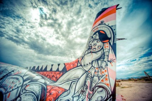 Проект Кладбище самолётов: искусство на заброшенных самолётах (18 фото)