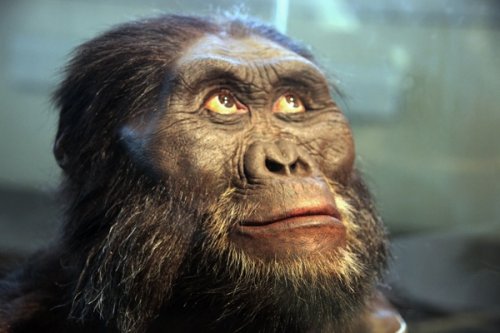 10 Важнейших эволюционных открытий, сделанных за последнее время