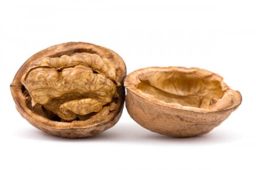 Орехи и их полезные свойства