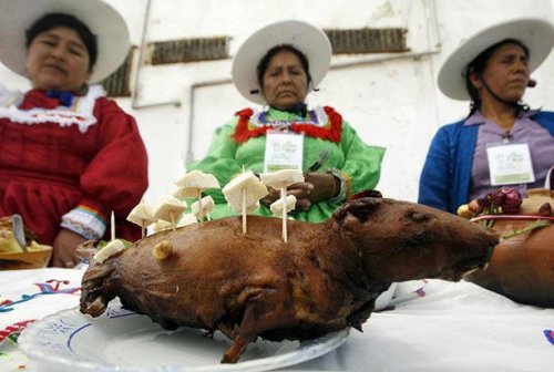 Шок-фестиваль в Перу Guinea Pig Festival (12 фото)