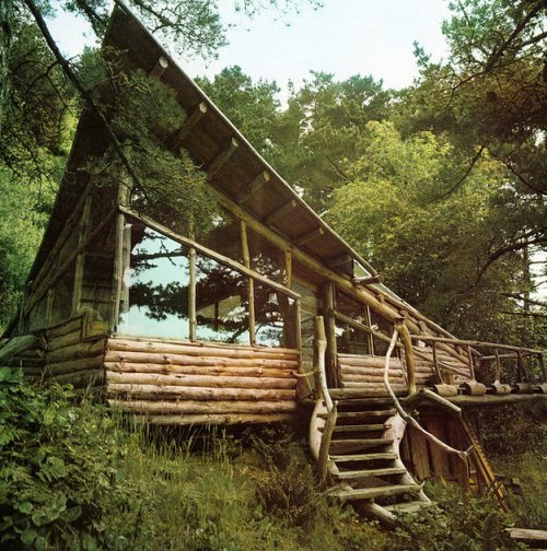 Уединённые дома в лесной глуши (22 фото)