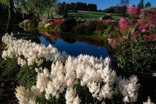 Восхитительный сад Maple Glen в Новой Зеландии (38 фото)