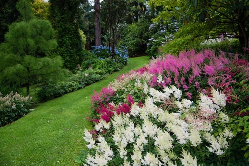Восхитительный сад Maple Glen в Новой Зеландии (38 фото)
