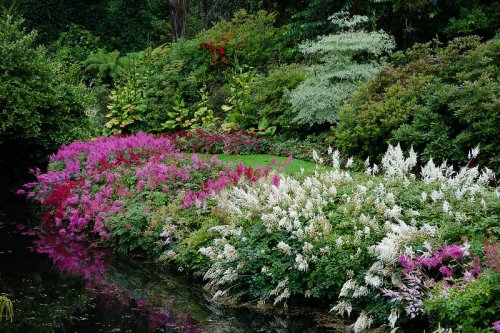 Восхитительный сад Maple Glen в Новой Зеландии (38 фото)
