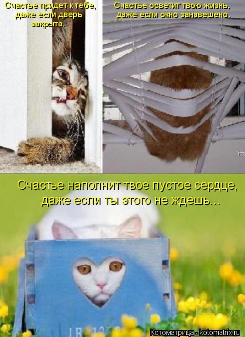 https://bugaga.ru/uploads/posts/2013-03/thumbs/1362086176_novye-kotomatricy-12.jpg