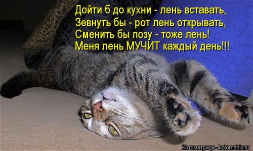 https://bugaga.ru/uploads/posts/2013-03/thumbs/1362086178_novye-kotomatricy-6.jpg