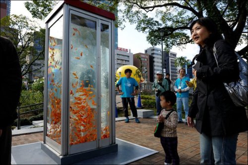 Золотые рыбки в телефонных будках в Японии (9 фото)