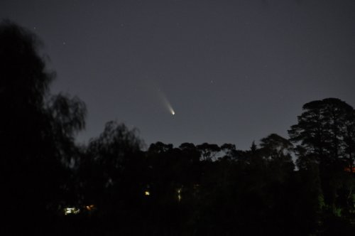 С марта до середины апреля в небе будет видна комета Панстаррс (15 фото)