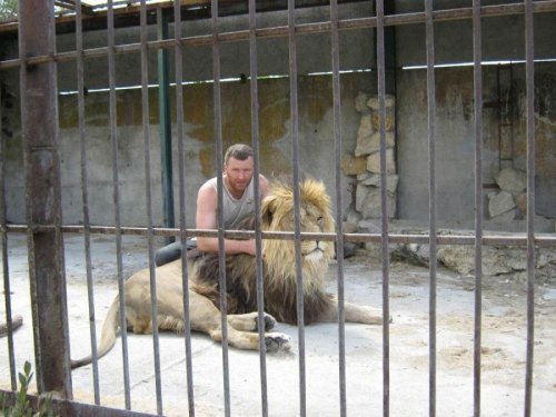 Владелец частного зоопарка планирует провести год в компании львов