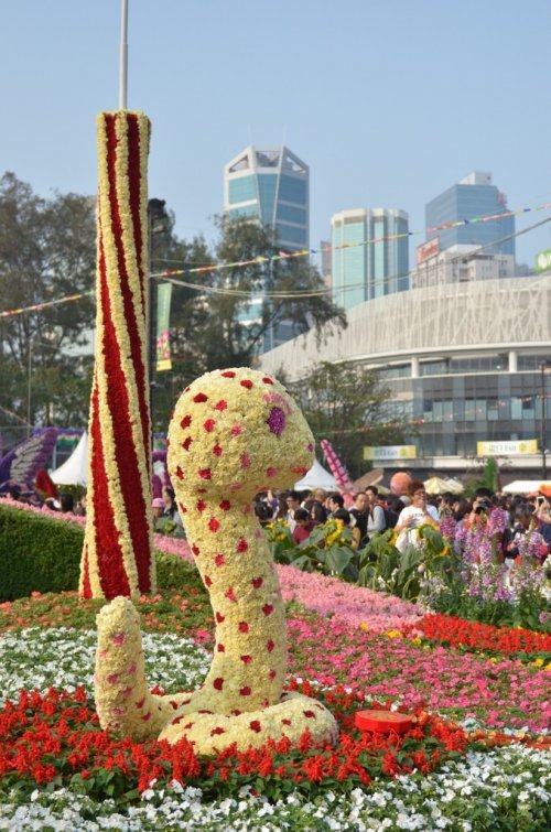 Цветочная феерия на Hong Kong Flower Show 2013 (25 фото)