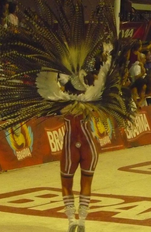 Участницы бразильских карнавалов (17 фото)