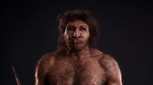10 Переходных предков эволюции человека