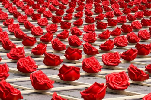 Подарок городу в виде тысячи алых роз (5 фото)