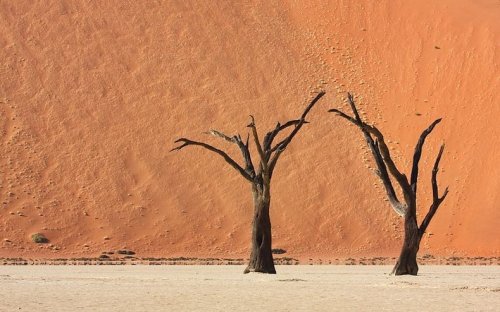 Сюрреалистический ландшафт Дедвлей в Намибии