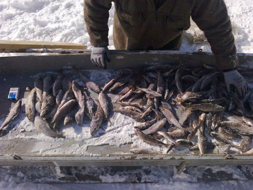 Рыбалка в Сибири