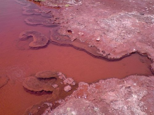 Таинственная Красная лагуна в Чили (9 фото)