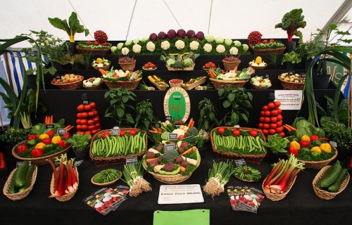 Креативное оформление овощных прилавков (11 фото)