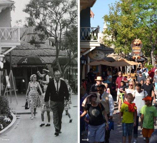 Disneyland тогда и сейчас (31 фото)