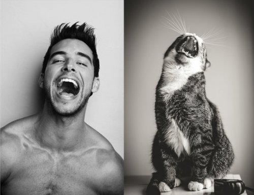 Мужчины и котята (22 фото)