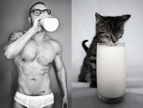 Мужчины и котята (21 фото)