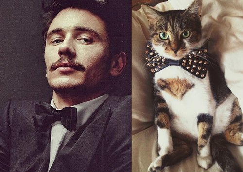 Мужчины и котята (21 фото)