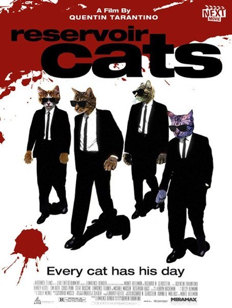 Если бы кино снимали коты