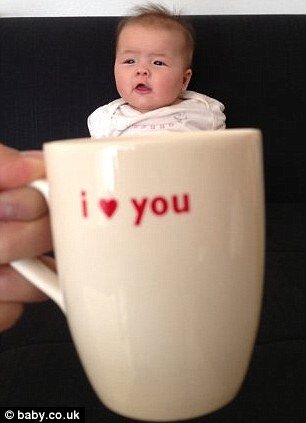 Новый фото-мем – младенцы в чашках (17 фото)