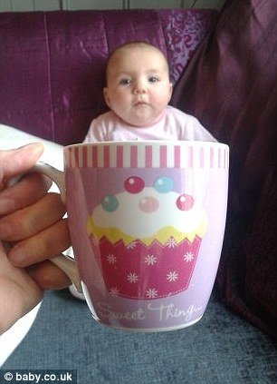 Новый фото-мем – младенцы в чашках (17 фото)