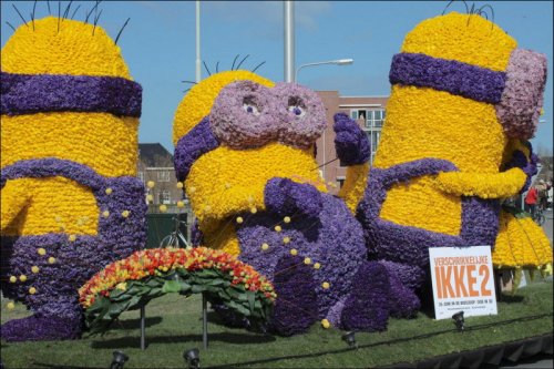 Изумительные цветочные инсталляции на параде цветов в Голландии (24 фото)