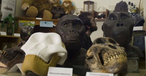 10 Музеев, посвящённых исключительно мифическим созданиям
