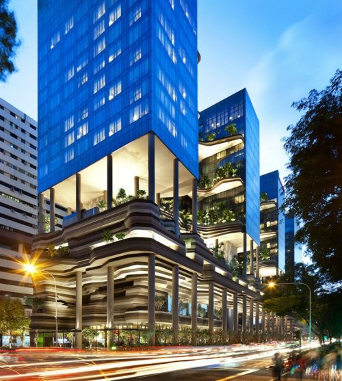 Отель ParkRoyal в Сингапуре – зелёный оазис мегаполиса (21 фото)