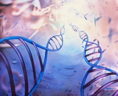 10 Поразительных фактов о ДНК