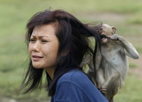 Женщины и животные, не взлюбившие друг друга (35 фото)