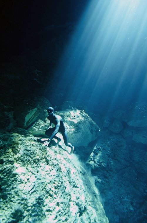 Подводное плавание в сенотах Юкатана (9 фото)