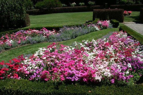 Цветущие сады Филоли (25 фото)