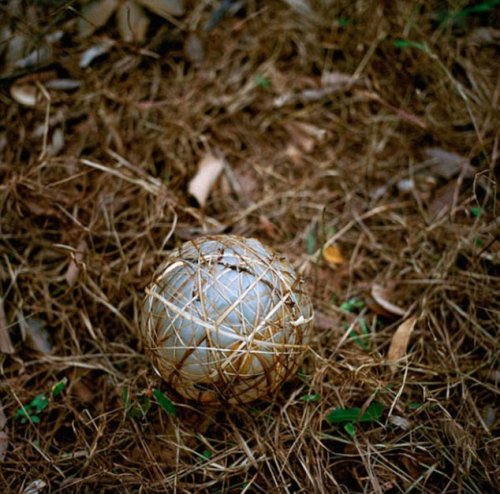 Африканские футбольные мячи (11 фото)