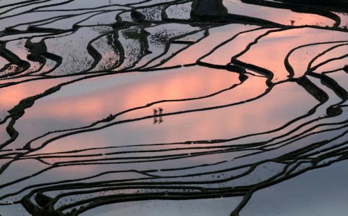Рисовые террасы Honghe Hani внесены в список объектов Всемирного наследия ЮНЕСКО (9 фото)