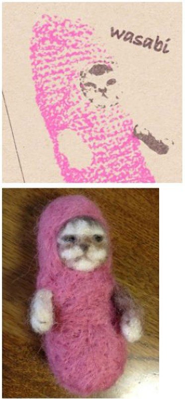 Малышка Васаби-чан в очаровательных нарядах – самый популярный котёнок в Японии (21 фото)